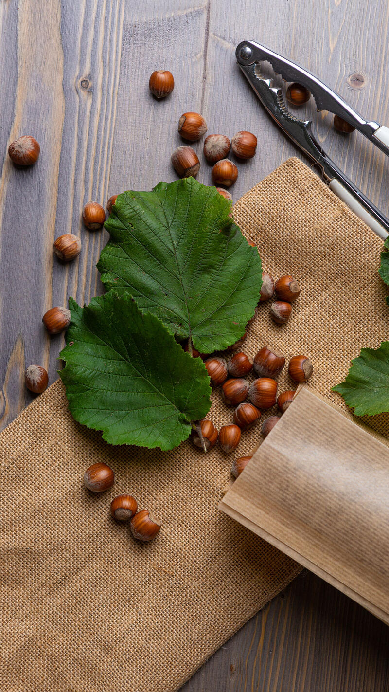 Nocciole e foglia su sacchetto di carta